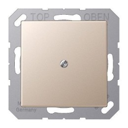 A590ACH Крышка для вывода проводов, Champagner Jung A серия