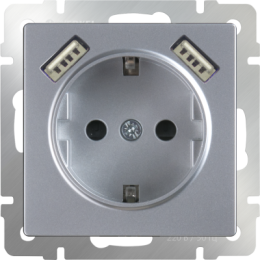 WL06-SKGS-USBx2-IP20 Розетка с заземлением, шторками и USBх2 (серебряный) Antik Werkel a033474