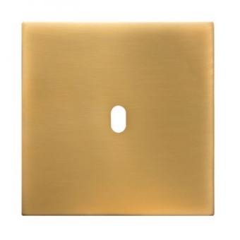 90A01966 Fontini 5.1 Одинарная панель для механизма переключения, SATIN MATT GOLDEN, BRIGHT-GOLDEN, рамка BRIGHT-GOLDEN