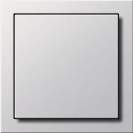 0268112 Заглушка с опорной платой Белый Gira F100