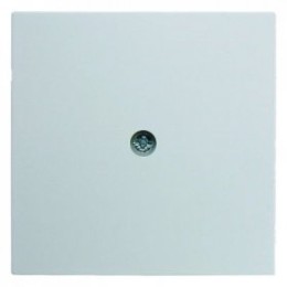 10191909 Центральная панель для VDo-розеток и кабельного вывода цвет: полярная белизна, матовый S.1/B.1/B.3/B.7 Glas Berker