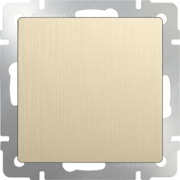 WL10-70-11 Заглушка (шампань рифленый) Antik Werkel a041308