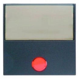 16961606 Клавиша с 5 прилагаемыми линзами и большим полем для надписи цвет: антрацит, матовый B.1/B.3/B.7 Glas Berker