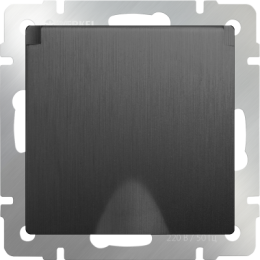 WL04-SKGSC-01-IP44 Розетка влагозащ. с зазем. с защит. крышкой и шторками (графит рифленый) Antik Werkel a046611