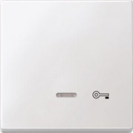 MTN437619 Клавиша с свет. индик., "дверь" Merten