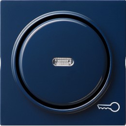 028746 Клавиша с символом "ключ" Синий Gira S-color