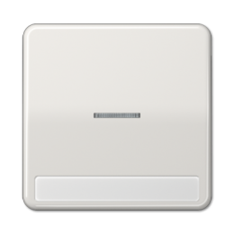 CD590NAKO5LG CD 500/CD plus Светло-серый Клавиша 1-я с/п с полем для надписи Jung