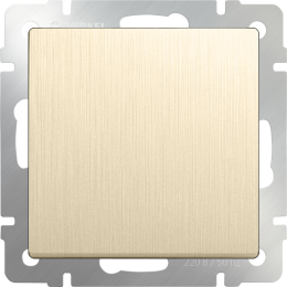 W1112010 Выключатель одноклавишный проходной (шампань рифленый) Antik Werkel a051435