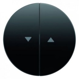 16252045 Клавиши с оттиском, цвет антрацит R.1/R.3 Berker