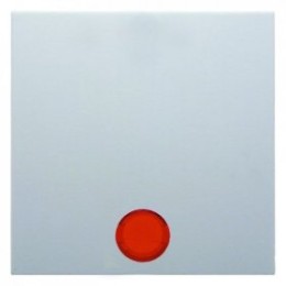 16211909 Клавиша в комплекте с 5 линзами цвет: полярная белизна, матовый S.1/B.1/B.3/B.7 Glas Berker