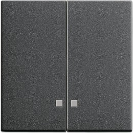 063128 Накладка двухклавишная с контрольными окнами Антрацит Gira