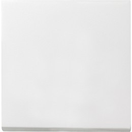 029627 Клавиша одинарная Белый Gira