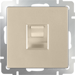 WL11-RJ-45 Розетка Ethernet RJ-45 (шампань) Antik Werkel a040910