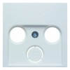 12038989 Центральная панель для антенной розетки 2 и 3 отверстия цвет: полярная белизна, с блеском S.1/B.3/B.7 Glas Berker