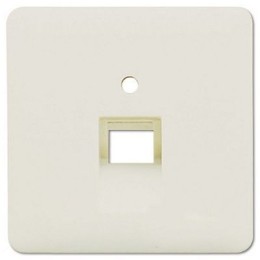 569-1UA CD 500/CD plus Бежевый Накладка 1-ой наклонной ТЛФ/комп розетки Jung