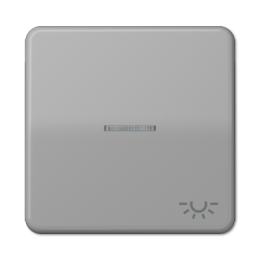 CD590KO5LGR CD 500/CD plus Серый Клавиша 1-я с/п с символом "ОСВЕЩЕНИЕ" Jung