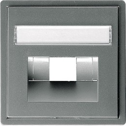 028420 Накладка 50*50 мм для розеток UAE/IAE с полем для надписи Сталь Gira E22