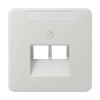 CD569-2NAUALG CD 500/CD plus Светло-серый Накладка 2-ой наклонной ТЛФ/комп розетки с полем для надписи Jung
