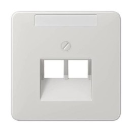 CD569-2NAUALG CD 500/CD plus Светло-серый Накладка 2-ой наклонной ТЛФ/комп розетки с полем для надписи Jung