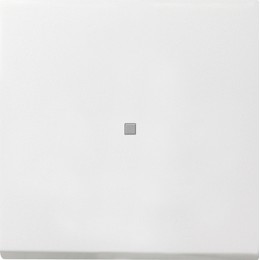 0290112 Клавиша с подсветкой Белый Gira F100