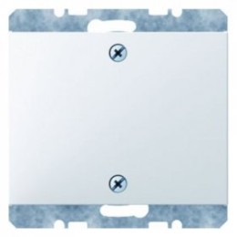 10457109 Заглушка с центральной панелью и винтовым креплением цвет: полярная белизна, с блеском K.1 Berker