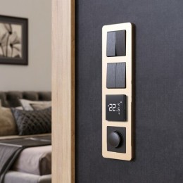 W0042611 Рамка на 4 поста (шампань) Platinum Werkel a059220