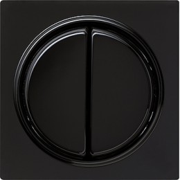 029547 Клавиша двойная Черный Gira S-color