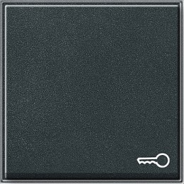 028767 Клавиша с символом "ключ" Антрацит Gira TX44