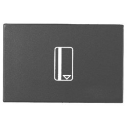 N2214.1 AN Механизм карточного (54 мм) выключателя с накладкой, 2-модульный, серия Zenit, цвет антрацит, ABB