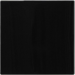 054347 Накладка кнопочного светорегулятора Черный Gira S-color