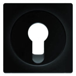 15076086 Центральная панель для замочных выключателей/кнопок, Q.1/Q.3, цвет: антрацитовый с эффектом бархата Berker