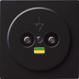 040547 Розетка выравнивания потенциалов, двухместная Черный Gira S-color