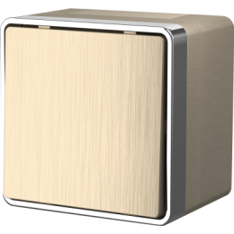 WL15-01-02 Выключатель одноклавишный влагозащищенный Gallant (шампань рифленый) Gallant Werkel a041413