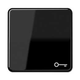 CD590TSW CD 500/CD plus Черный Клавиша 1-я с символом "КЛЮЧ" Jung