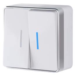 WL15-03-03 Выключатель двухклавишный с подсветкой Gallant (белый) Gallant Werkel a036764