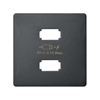 8211096-038 Накладка для зарядного устройства 2*USB, S82, S82N, S82 Detail, графит Simon