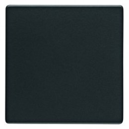 16206086 Клавиша Q.1 Berker