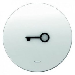 16512069 Клавиша с прозрачной линзой и выступающим символом "Дверь", полярная белизна, с блеском R.1/R.3 Berker