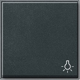 028567 Клавиша с символом "свет" Антрацит Gira TX44
