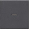 029028 Клавиша с подсветкой Антрацит Gira
