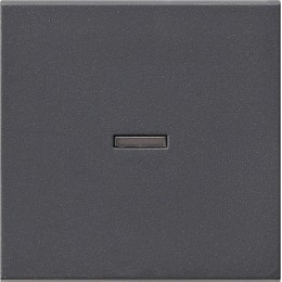029028 Клавиша с подсветкой Антрацит Gira