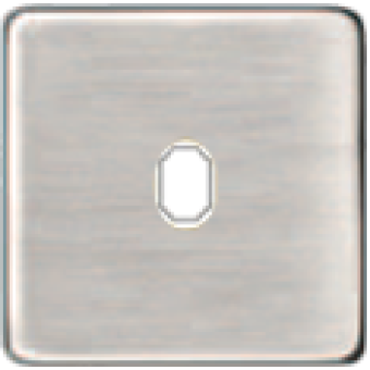 FD04320AS-A Латунная накладка под 1 тумблер , цвет Antic Silver+beige FEDE
