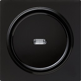 029047 Клавиша с подсветкой Черный Gira S-color