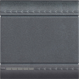 L4915M2N LivingLight Клавиша без символа, размер 2 модуля Bticino