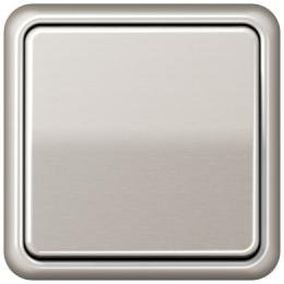 CD581PT Рамка CD 500 Платина 1-постовая Jung