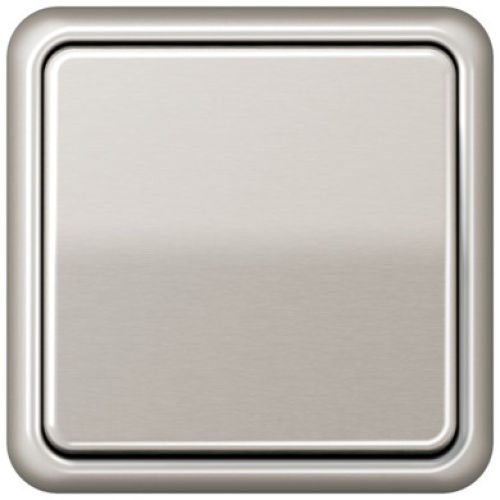 CD581PT Рамка CD 500 Платина 1-постовая Jung