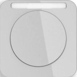 10112179 Рамка с полем для надписей R.1 Полярная белизна с блеском 1-постовая Berker