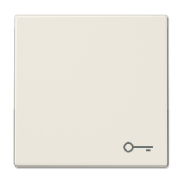 LS990T LS 990 Бежевый Клавиша 1-я с символом "КЛЮЧ" Jung LS серия