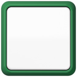 CD581GN Рамка CD 500 Зеленый 1-постовая Jung