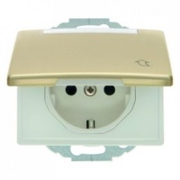 47580002 Штепсельная розетка SCHUKO с откидной крышкой и полем для надписи цвет: золотой, металл Arsys Berker